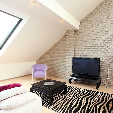 Daire Center Location Luxury Prag
